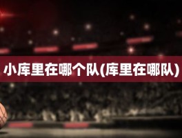 小库里在哪个队(库里在哪队)