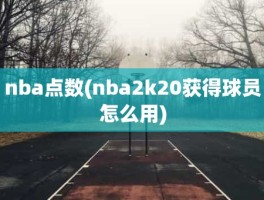 nba点数(nba2k20获得球员怎么用)