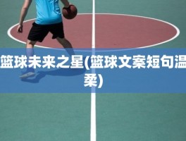篮球未来之星(篮球文案短句温柔)