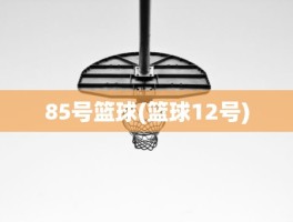 85号篮球(篮球12号)