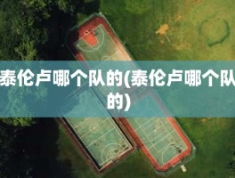 泰伦卢哪个队的(泰伦卢哪个队的)