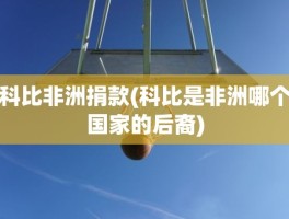 科比非洲捐款(科比是非洲哪个国家的后裔)