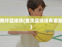 南坪篮球场(重庆篮球场有哪些)