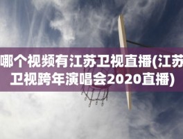 哪个视频有江苏卫视直播(江苏卫视跨年演唱会2020直播)