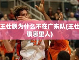 王仕鹏为什么不在广东队(王仕鹏哪里人)