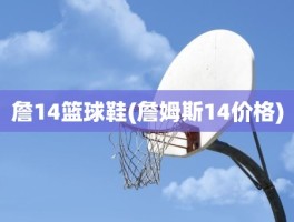 詹14篮球鞋(詹姆斯14价格)
