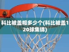科比被盖帽多少个(科比被盖120球集锦)