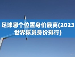 足球哪个位置身价最高(2023世界球员身价排行)