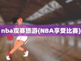 nba观赛旅游(NBA享受比赛)
