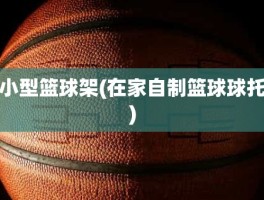 小型篮球架(在家自制篮球球托)