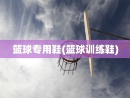 篮球专用鞋(篮球训练鞋)