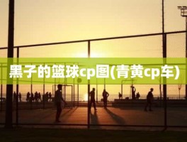 黑子的篮球cp图(青黄cp车)