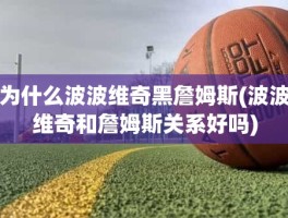 为什么波波维奇黑詹姆斯(波波维奇和詹姆斯关系好吗)