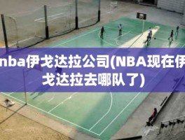 nba伊戈达拉公司(NBA现在伊戈达拉去哪队了)