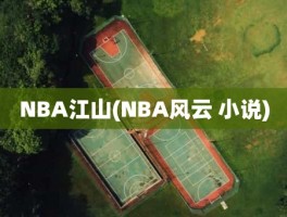 NBA江山(NBA风云 小说)