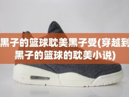 黑子的篮球耽美黑子受(穿越到黑子的篮球的耽美小说)