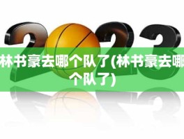 林书豪去哪个队了(林书豪去哪个队了)