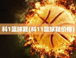 科1篮球鞋(科11篮球鞋价格)