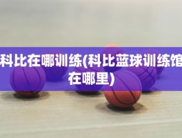科比在哪训练(科比蓝球训练馆在哪里)