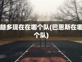 朗多现在在哪个队(巴恩斯在哪个队)