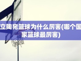 立陶宛篮球为什么厉害(哪个国家篮球最厉害)