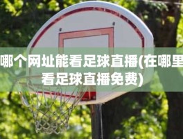 哪个网址能看足球直播(在哪里看足球直播免费)