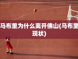 马布里为什么离开佛山(马布里现状)