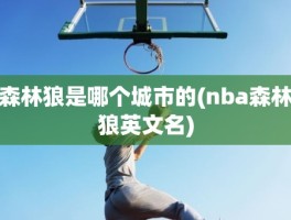 森林狼是哪个城市的(nba森林狼英文名)