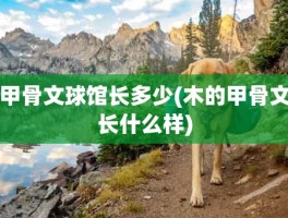 甲骨文球馆长多少(木的甲骨文长什么样)