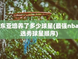 东亚培养了多少球星(最强nba选秀球星顺序)