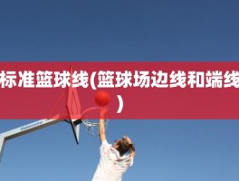 标准篮球线(篮球场边线和端线)