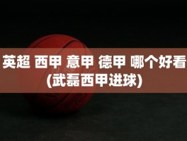 英超 西甲 意甲 德甲 哪个好看(武磊西甲进球)