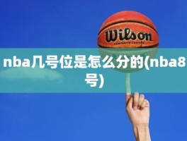 nba几号位是怎么分的(nba8号)