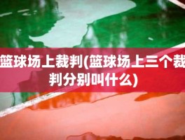 篮球场上裁判(篮球场上三个裁判分别叫什么)