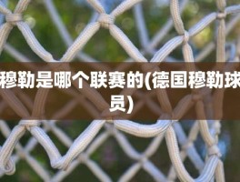 穆勒是哪个联赛的(德国穆勒球员)