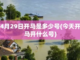 4月29日开马是多少号(今天开马开什么号)