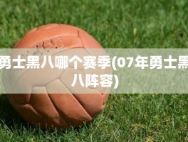 勇士黑八哪个赛季(07年勇士黑八阵容)