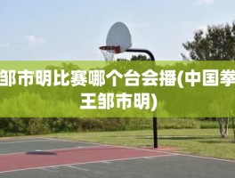 邹市明比赛哪个台会播(中国拳王邹市明)
