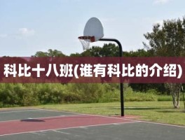 科比十八班(谁有科比的介绍)