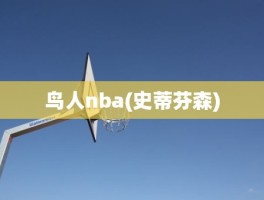 鸟人nba(史蒂芬森)