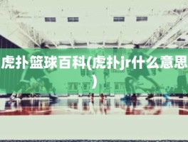 虎扑篮球百科(虎扑jr什么意思)