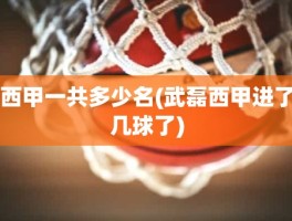 西甲一共多少名(武磊西甲进了几球了)