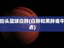 街头篮球白胖(白胖和黑胖谁牛点)