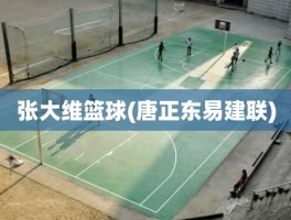 张大维篮球(唐正东易建联)