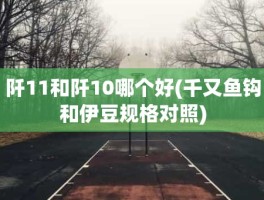 阡11和阡10哪个好(千又鱼钩和伊豆规格对照)