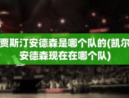 贾斯汀安德森是哪个队的(凯尔安德森现在在哪个队)
