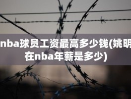 nba球员工资最高多少钱(姚明在nba年薪是多少)