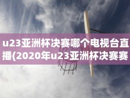 u23亚洲杯决赛哪个电视台直播(2020年u23亚洲杯决赛赛制)
