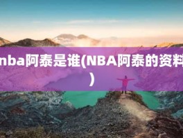 nba阿泰是谁(NBA阿泰的资料)