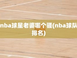 nba球星老婆哪个骚(nba球队排名)